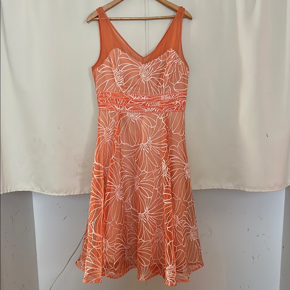 ANTHROPOLOGIE lined dress. Circle skirt
